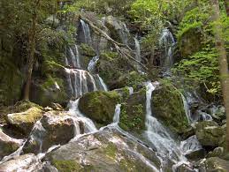 As the name suggests, place of a thousand drips is actually a site that gives you a view of numerous small streams at. Place Of A Thousand Drips In The Smoky Mountains Smoky Mountains Vacation Smoky Mountains Mountain Vacations