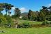 Detailed Golden Gate Park Map