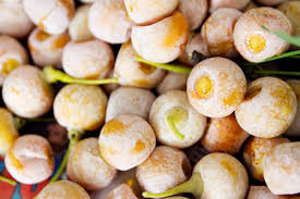 Ginkgos (ginkgo biloba) are a good source of wild food. The Nasty Bits Ginkgo Nuts Serious Eats