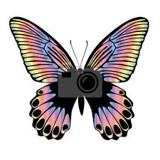 Falls sie sich für ein schmetterlingsmotive faszinieren und sich ein schmetterlingsmotive kaufen möchten, sind sie bei uns zu 100 prozent. Schone Bunte Schmetterling Auf Weissem Hintergrund Leinwandbilder Bilder Schmetterlinge Morpho Flugel Myloview De