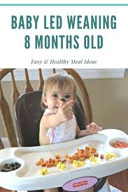 Baby Led Weaning Meal Ideas 8 Months Old