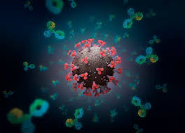 Your doctor or testing center will provide instructions for where to go for testing and how the test will be done. Opinion Scared That Covid 19 Immunity Won T Last Don T Be The New York Times
