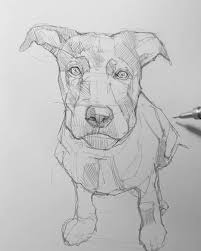 There Is Something In Simple Sketches That Makes You Watch Them Over And Over Ag Sketchbooks Simple Sketchbooks Art Sketche In 2020 Dog Sketch Animal Sketches Sketches