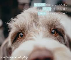 Our veterinarians attend continuing education classes. Pet Emergency Clinic Home Facebook