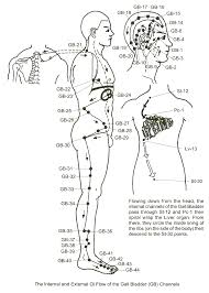 Gallbladder Meridian