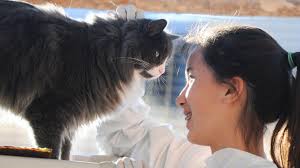 Teen Volunteers at Best Friends