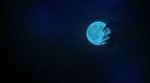 You can also upload and share your favorite blue moon wallpapers. Blue Moon Black Background Stock Video Pond5