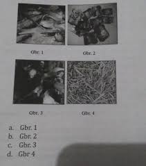 Limbah anorganik ada di sekitar kita, ini jenis dan cara tepat mengolahnya. 20 Dari Gambar Berikut Ini Yang Tergolong Bahanlimbah Lunak Anorganik Adalah Brainly Co Id