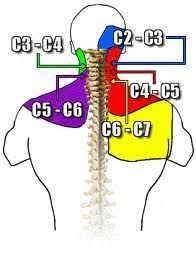 Pin On Nursing