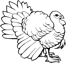 Free Turkey Coloring Pages Turkey Coloring Pages Thanksgiving Coloring Pages Coloring Pages