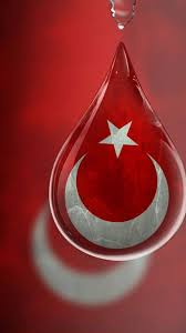 Cep Telefonu Turk Bayragi Duvar Kagitlari Turk Bayraklari 2020 Bayrak Turkler Resimler