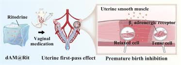 Image result for Ritodrine