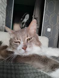 Посты пользователя mks1 - JoyReactor