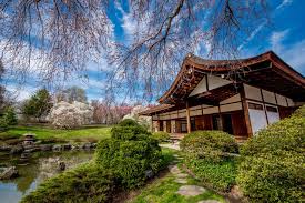 The japanese garden was designed by ken nakajima in 1992, includes a teahouse, waterfalls, bridges, and stone paths that wander among crepe myrtles, azaleas, japanese maples, dogwoods and cherry trees. Shofuso Japanese Cultural Center Reopens For 2021 Season Phillyvoice