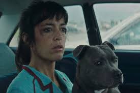 Vincent mora umrijeti