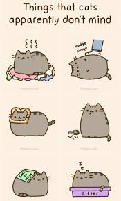 Things That Cats Apparently Don T Mind My Cat Sleeps In Her Litter Box And I Thought She Was Just Insane Pusheen Cat Pusheen Cute Pusheen