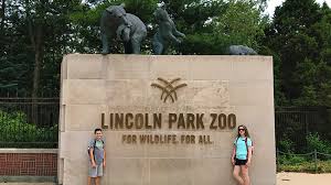 Visit the Free, Family-Friendly Lincoln Park Zoo in Chicago