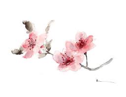 Cherry Blossom Branch Original Watercolor Painting Cherry Blossom Art Cherry Blossom Watercolor Cherry Blossom Painting