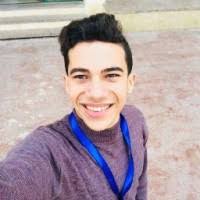 30+ "Samir George" profiles