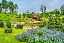 Our attention to detail and focus on quality is what sets us apart. 2 658 Amazing Landscaping Photos Free Royalty Free Stock Photos From Dreamstime