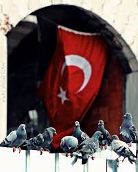 Ozcan Ozturk Adli Kullanicinin Ay Yildiz Bu Sevda Bitmez Panosundaki Pin Bayrak Resim Turkler