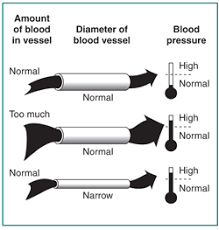 What impact would low blood pressure have on the kidneys. High Blood Pressure Kidney Disease Kidney Treatment Center