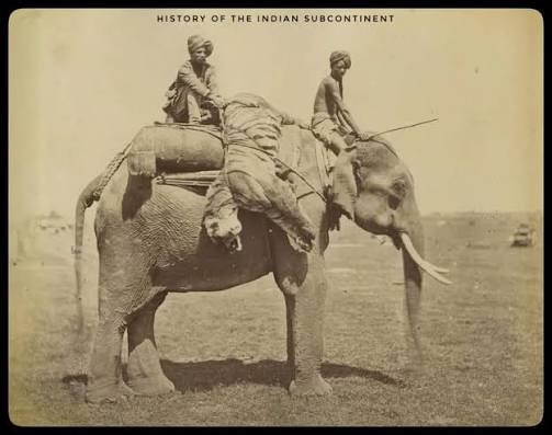 Elephants flee with guns during 1892 India military maneuver