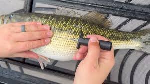 Meet our 2024 Pro Staff! Ben Huffman Cher Karbassian Chris Anglin Joe  Camareno John Stockman Johnny Merchant Lance Tyree Laura Porter Michael Ray  Santos Zepeda