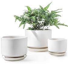5 out of 5 stars. Le Tauci Indoor Planter Ceramic Plant Pots With Drainage Hole And Mesh Net Round Flower Planter Pot For Plants With Saucer Tray Small To Large Sized White Set Of 3 Amazon In Garden