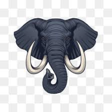 This clipart image is transparent backgroud and png format. Elephant Head Png Elephant Headdress Cleanpng Kisspng