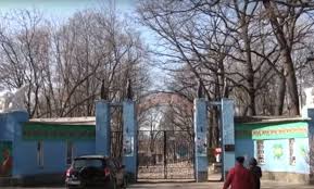 На каких животных можно будет посмотреть. Harkovskij Zoopark Pokupaet Rybu Dorozhe Chem Gostinica Dlya Deputatov Znaj Yua