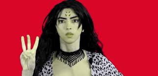 Image result for youtube shooter