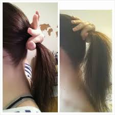 I love mane n tail. Mane N Tail Test Renablueblog