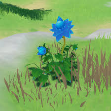 Genshin impact collect mist flower corolla location. Mist Flower Corolla Genshin Impact Wiki Fandom