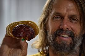 Jake Plummer's foray into fungi: From NFL QB to mushroom farmer