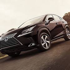 Image result for Caviar 2018 NX