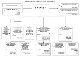 Un blog ce cuprinde planse de colorat si fise de lucru pentru copii. Organigrama Unei Firme Constructii Ghid Infiintare Firma Constructii