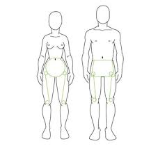 We did not find results for: Human Anatomy Fundamentals Advanced Body Proportions