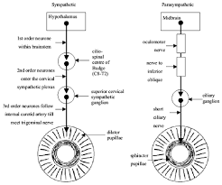 diabetic retinopathy screening services in scotland a