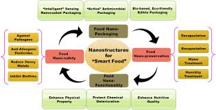 Prospects Of Using Nanotechnology For Food Preservation