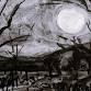 Haunted Forest India Ink Paintings