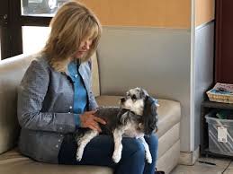 Can a skin biopsy be done on a dog? One Health Uses Precision Medicine To Treat Dogs With Cancer