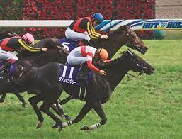ダノンキングリー (danon kingly) は、日本の競走馬。主な勝ち鞍は2019年の毎日王冠（gii）、共同通信杯（giii）、2020年の中山記念（gii）。 馬名の意味は冠名＋王にふさわしい、王位に君臨することを願って。 Hx2dyz0fsivujm