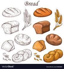 Line And Colored Bakery Elements Loaf Of Vector Image On Vectorstock Loaf Bread Food Sketch Bakery Icon