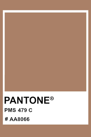 Pantone 479 C Pantone Color Pms Hex Pantone Color Chart Brown Pantone Pantone Colour Palettes