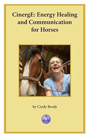 Horse healings & dog readings for self development, healing & growth. Cinerge Energy Healing And Communication For Horses Kindle Edition By Brody Cindy Crafts Hobbies Home Kindle Ebooks Amazon Com