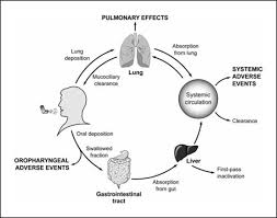 Image result for Inhaled Ciclesonide