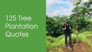 See more ideas about save trees slogans, tree slogan, save trees. 125 Tree Plantation Quotes Ultimate List