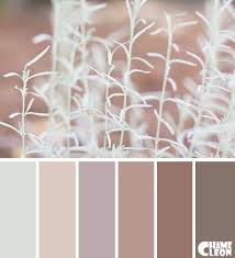 However, taupe does not describe a single color, rather, it is used to describe a vast range of colors from dark tan to brownish gray. Color Palette Taupe Mole Gray Ghost White Dusty Dim Gray Taupe Color Schemes Chameleon Color Taupe Colour