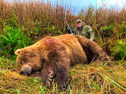 Abundance estimation of hunted brown bear populations should occur on the same geographic scale as harvest data analyses for estimation of harvest rate. Alaska Peninsula Brown Bear Hunt Quality Hunts